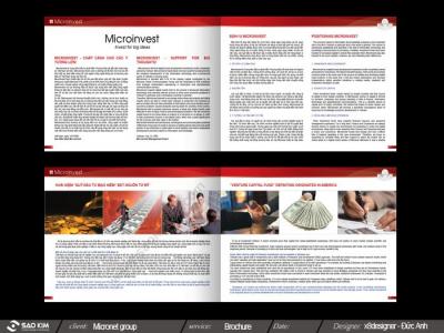 CÔNG TY CP TẬP ĐOÀN MICRONET 