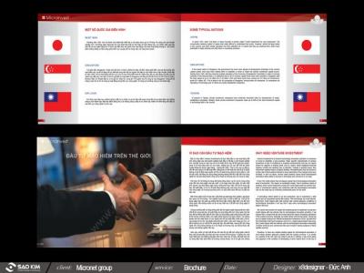 CÔNG TY CP TẬP ĐOÀN MICRONET 