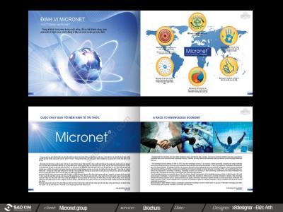 CÔNG TY CP TẬP ĐOÀN MICRONET 