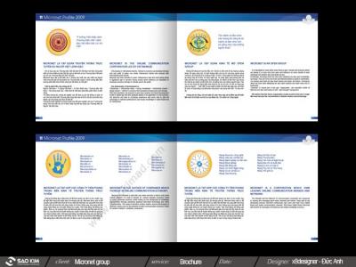 CÔNG TY CP TẬP ĐOÀN MICRONET 