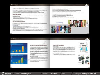 CÔNG TY CP TẬP ĐOÀN MICRONET 