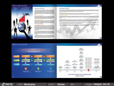 CÔNG TY CP TẬP ĐOÀN MICRONET 