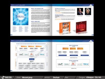 CÔNG TY CP TẬP ĐOÀN MICRONET 