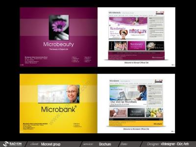 CÔNG TY CP TẬP ĐOÀN MICRONET 