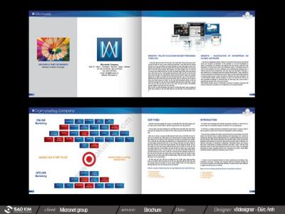 CÔNG TY CP TẬP ĐOÀN MICRONET 