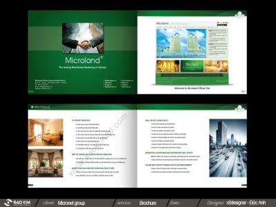 CÔNG TY CP TẬP ĐOÀN MICRONET 