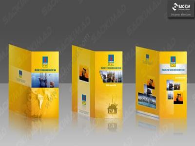 TỔNG CÔNG TY BẢO HIỂM DẦU KHÍ (PVI)