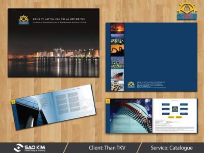 Thiết kế profile cho TKV Group