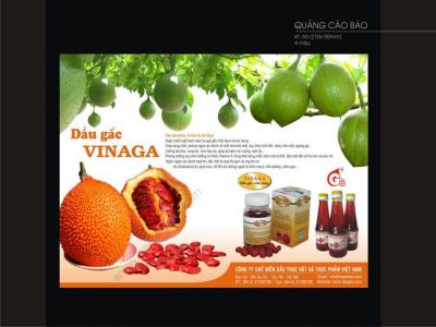 Thiết kế ấn phẩm quảng cáo báo chí cho Vinaga