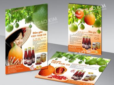 Thiết kế ấn phẩm quảng cáo báo chí cho Vinaga