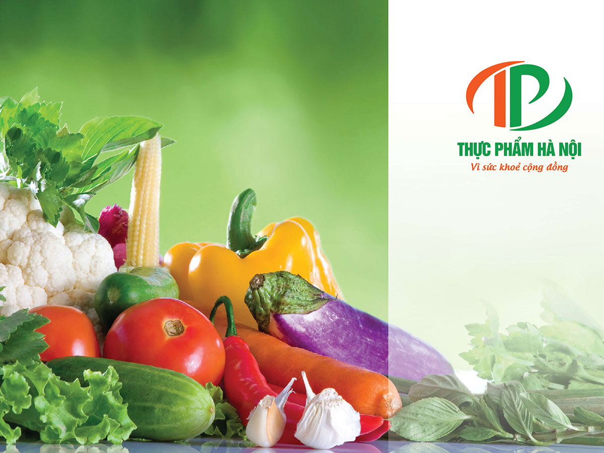 THỰC PHẨM HẢ NỘI - Thiết kế logo Thực Phẩm Hà Nội