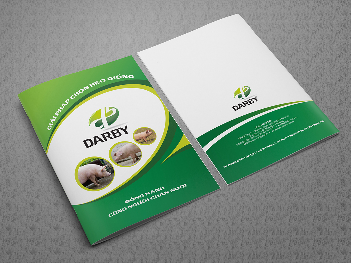 DARBY - Thiết kế ấn phẩm marketing cho công ty Darby