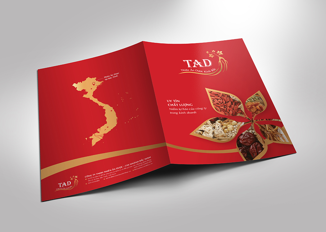 THIÊN ÂN DƯỢC - Thiết kế logo và nhận diện thương hiệu dược phẩm Thiên Ân Dược