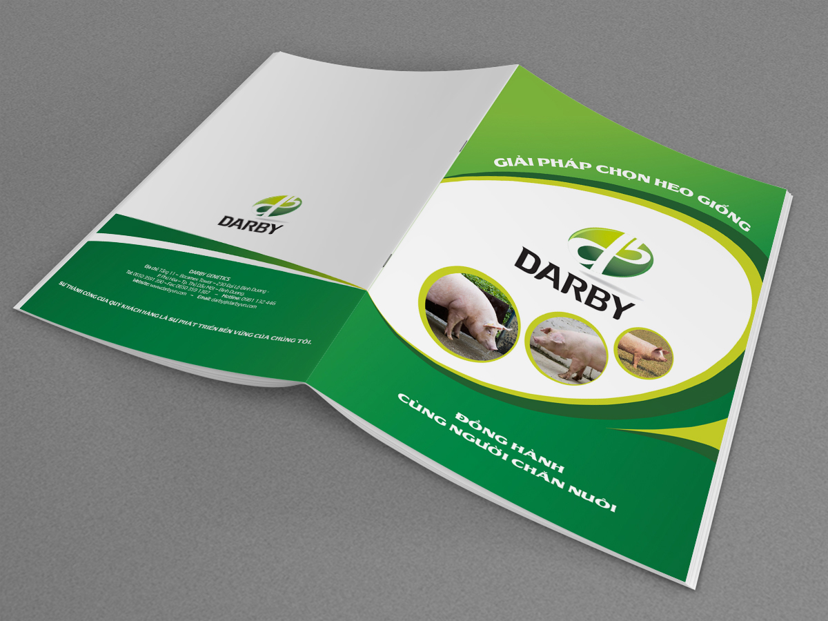 DARBY - Thiết kế ấn phẩm marketing cho công ty Darby