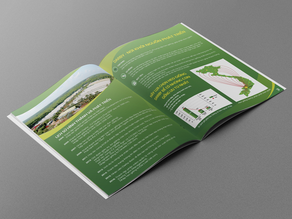 DARBY - Thiết kế ấn phẩm marketing cho công ty Darby