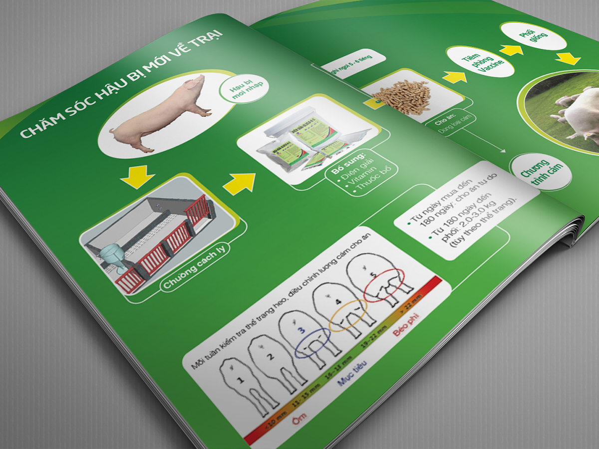 DARBY - Thiết kế ấn phẩm marketing cho công ty Darby