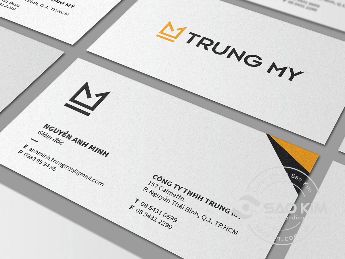 TRUNG MỸ - Thiết kế logo bất động sản Trung Mỹ