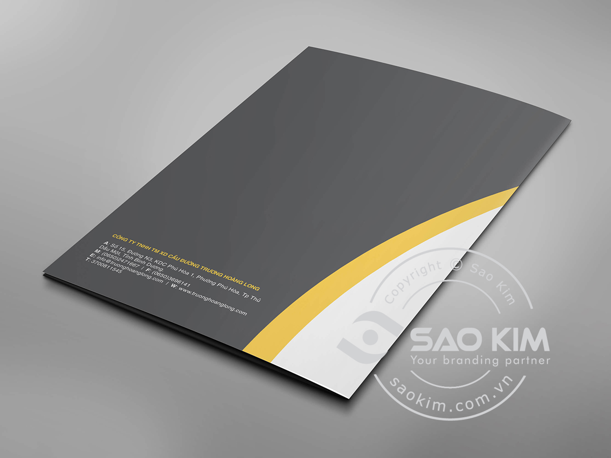 TRƯƠNG HOÀNG LONG - Thiết kế logo Trương Hoàng Long