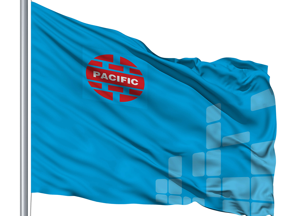 PACIFIC - Thiết kế profile công ty cổ phần đầu tư Pacific