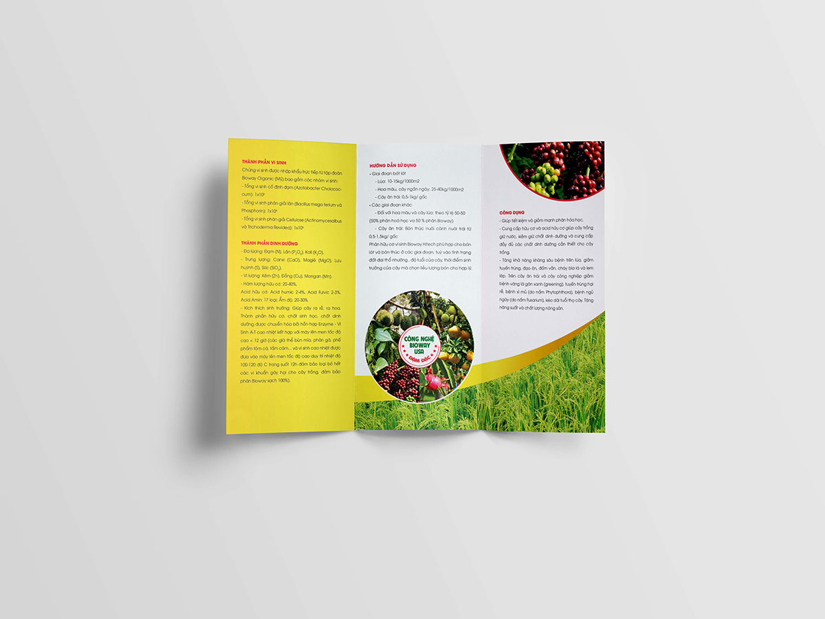 BIOWAY - Thiết kế bao bì sản phẩm và bộ sales kit Bioway