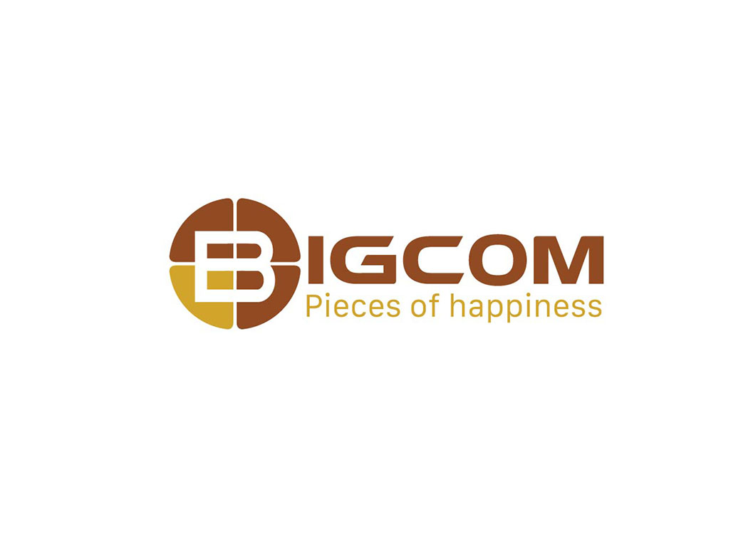 BIGCOM - Thiết kế logo và sáng tạo tên thương hiệu công ty BIGCOM