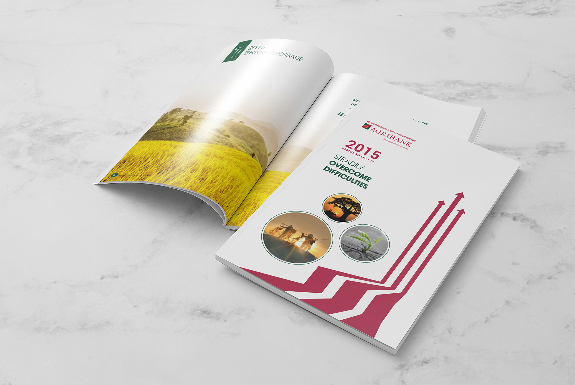 AGRIBANK - Thiết kế báo cáo thường niên cho ngân hàng Agribank