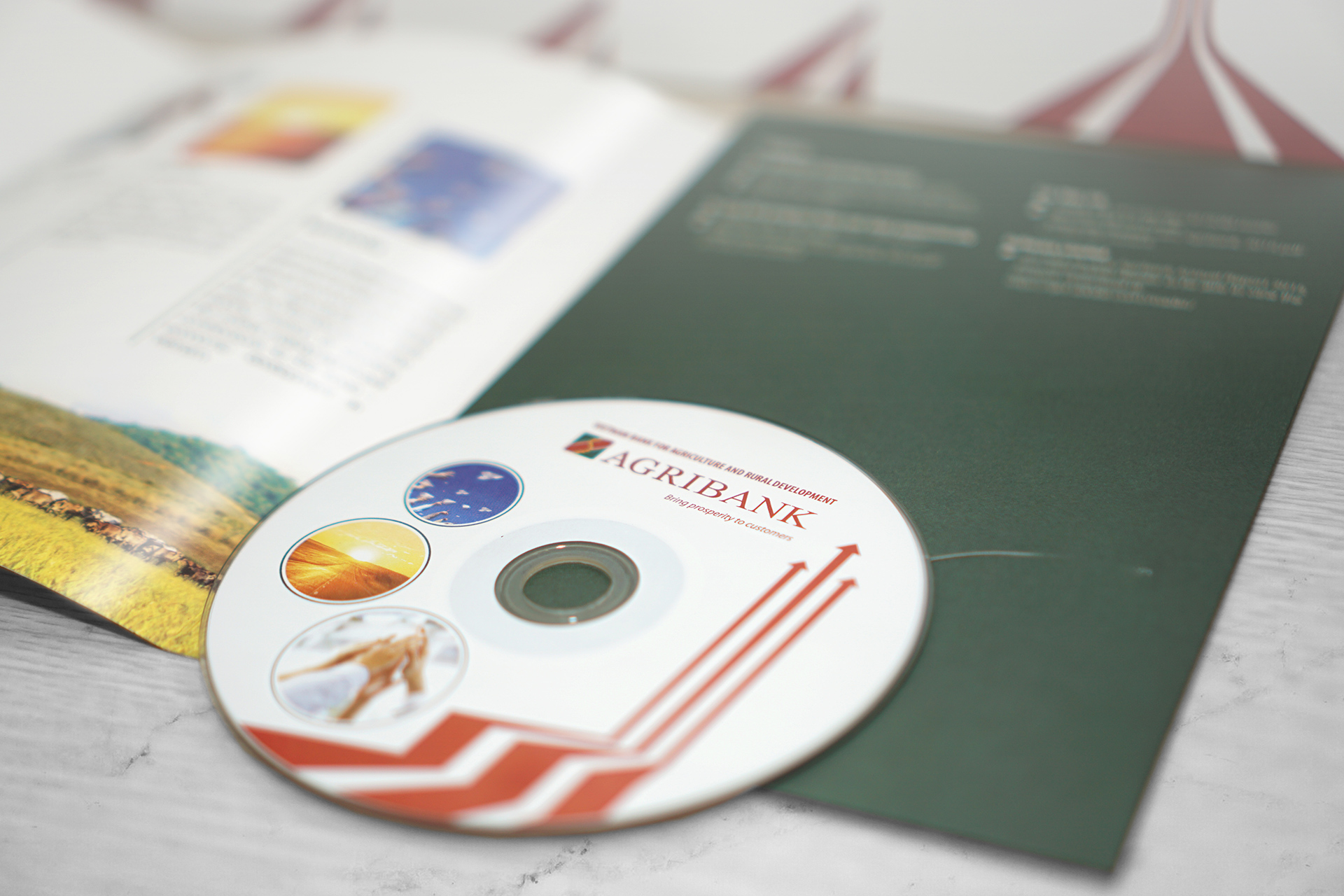 AGRIBANK - Thiết kế báo cáo thường niên cho ngân hàng Agribank