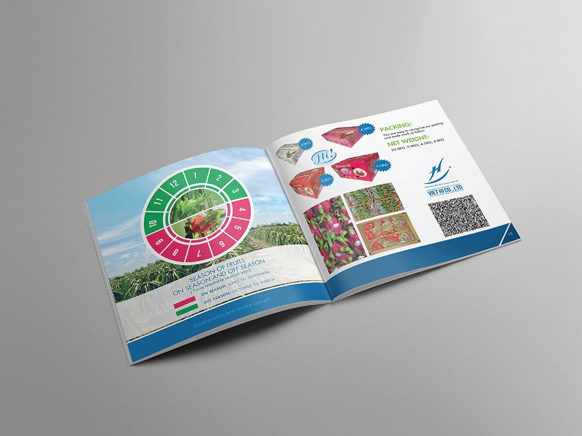 VIỆT HỈ - Thiết kế Catalogue giới thiệu sản phẩm nông sản trái thanh long