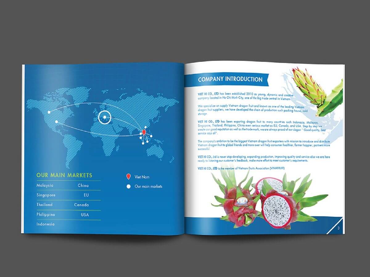 VIỆT HỈ - Thiết kế Catalogue giới thiệu sản phẩm nông sản trái thanh long