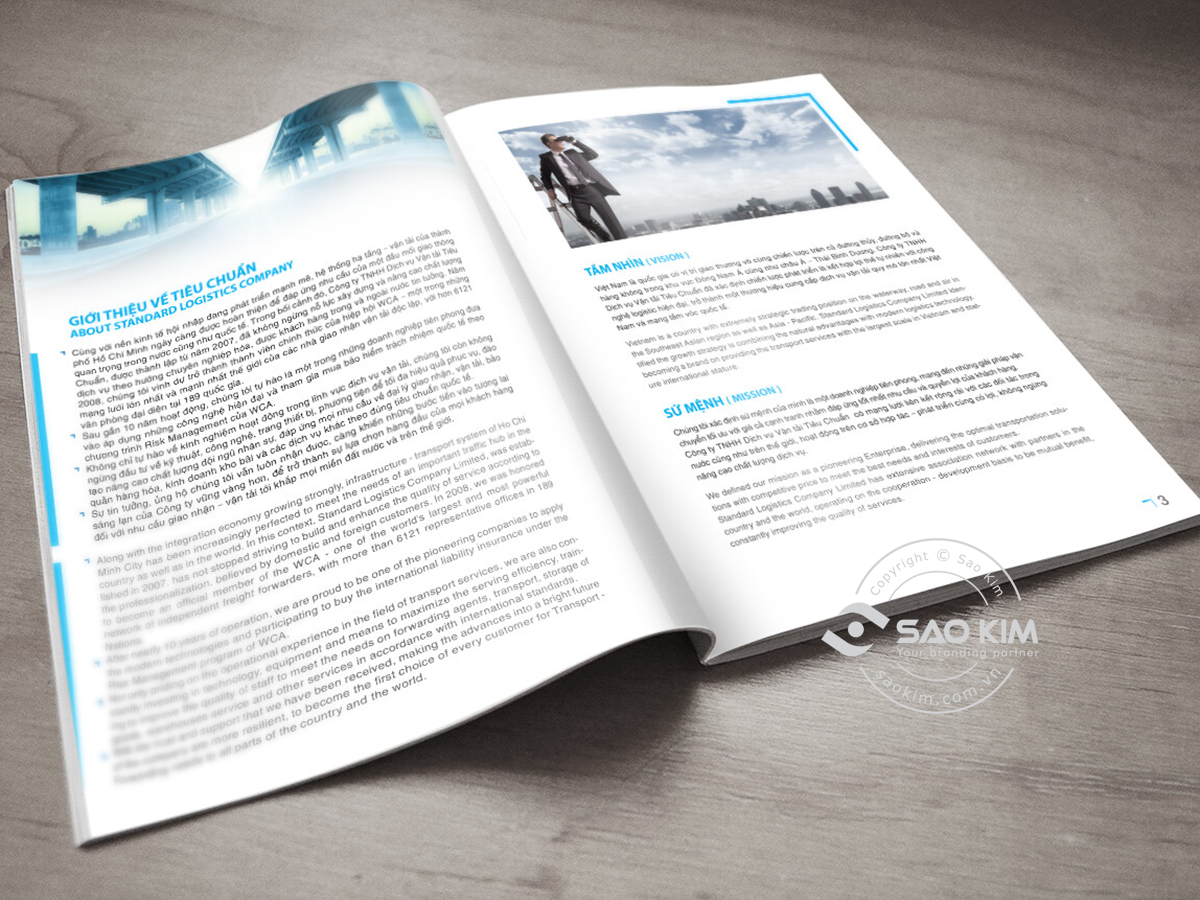 TIÊU CHUẨN - Thiết kế và biên soạn profile Tiêu Chuẩn