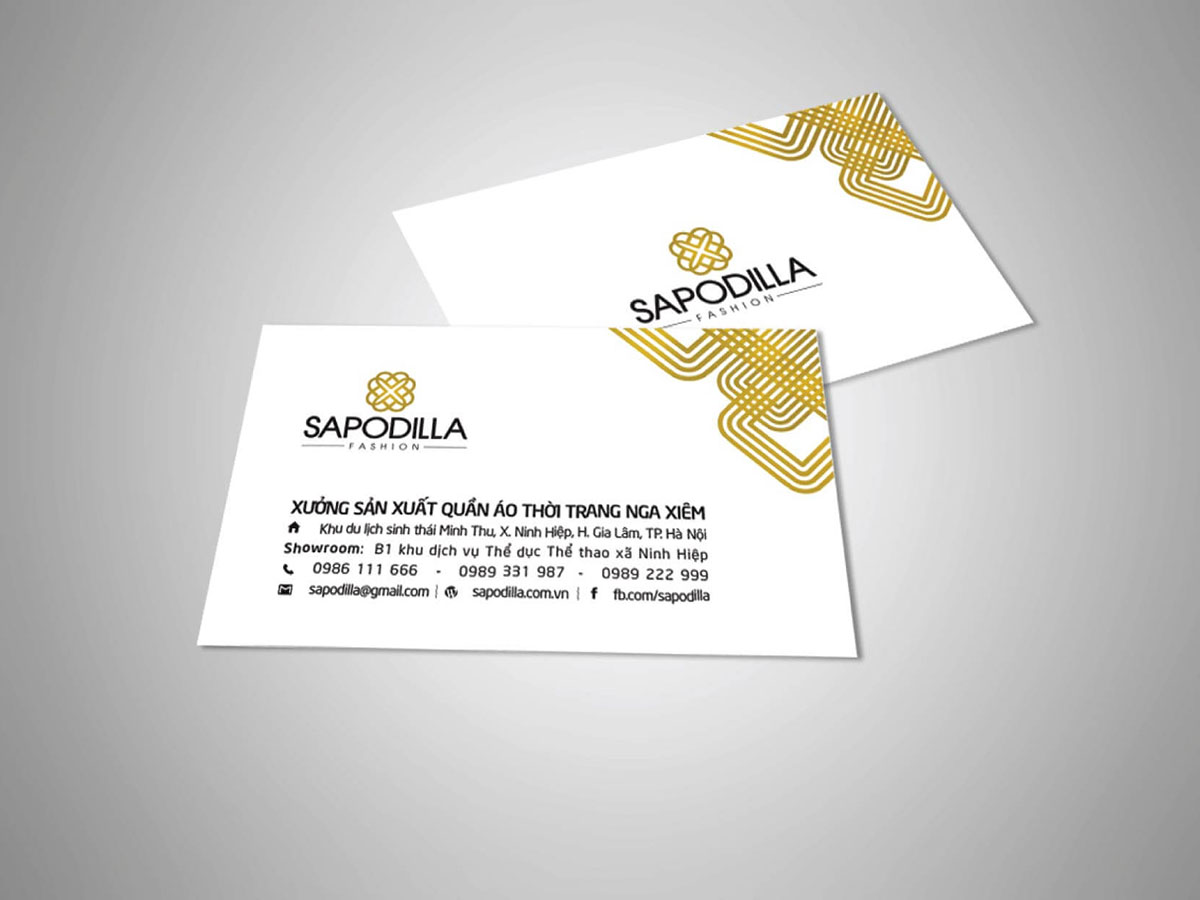 SAPODILLA - Thiết kế nhận diện thương hiệu thời trang Sapodilla