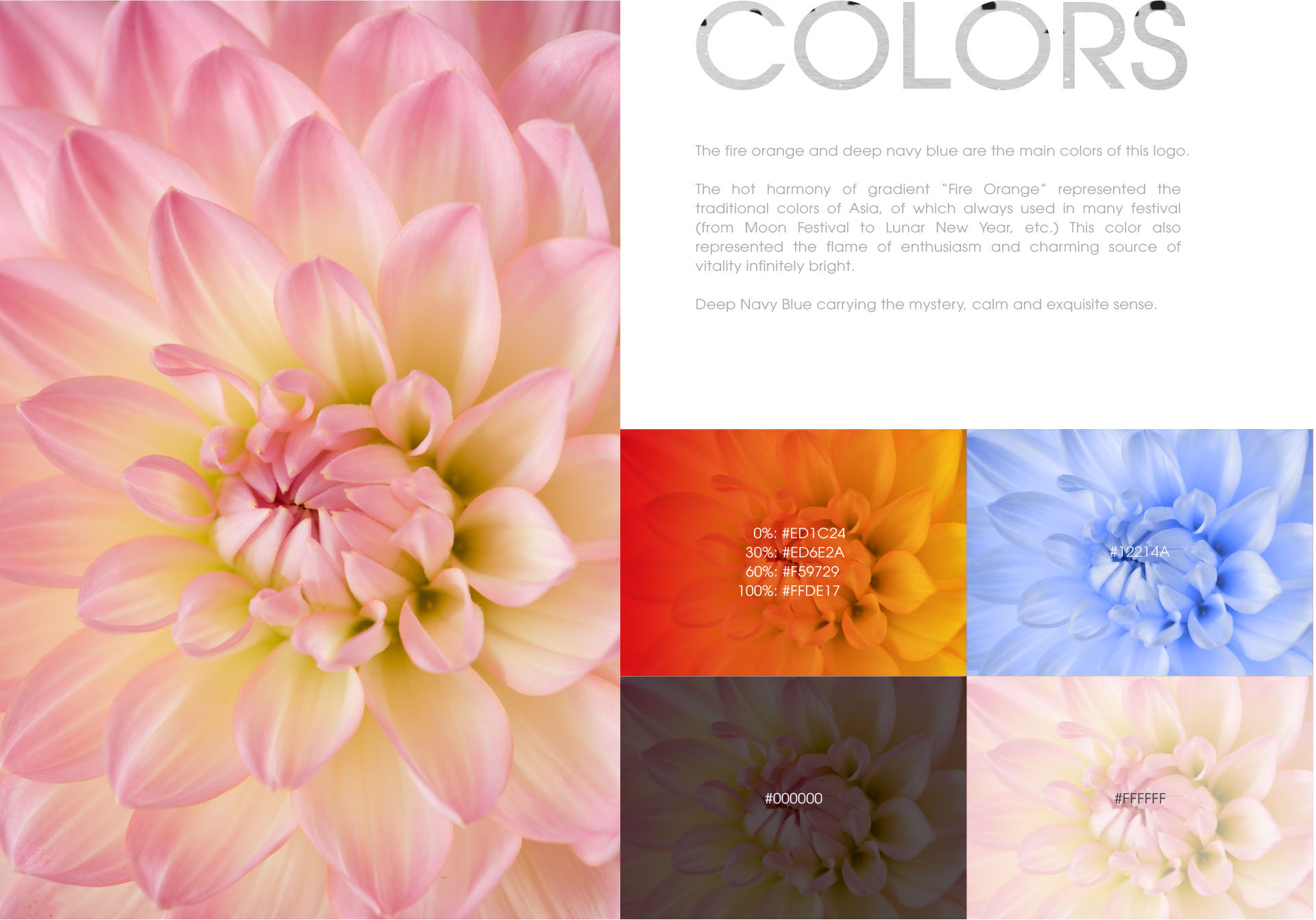 MIRACLE ASIA TRAVEL - Thiết kế logo và nhận diện thương hiệu Miracle Asia Travel