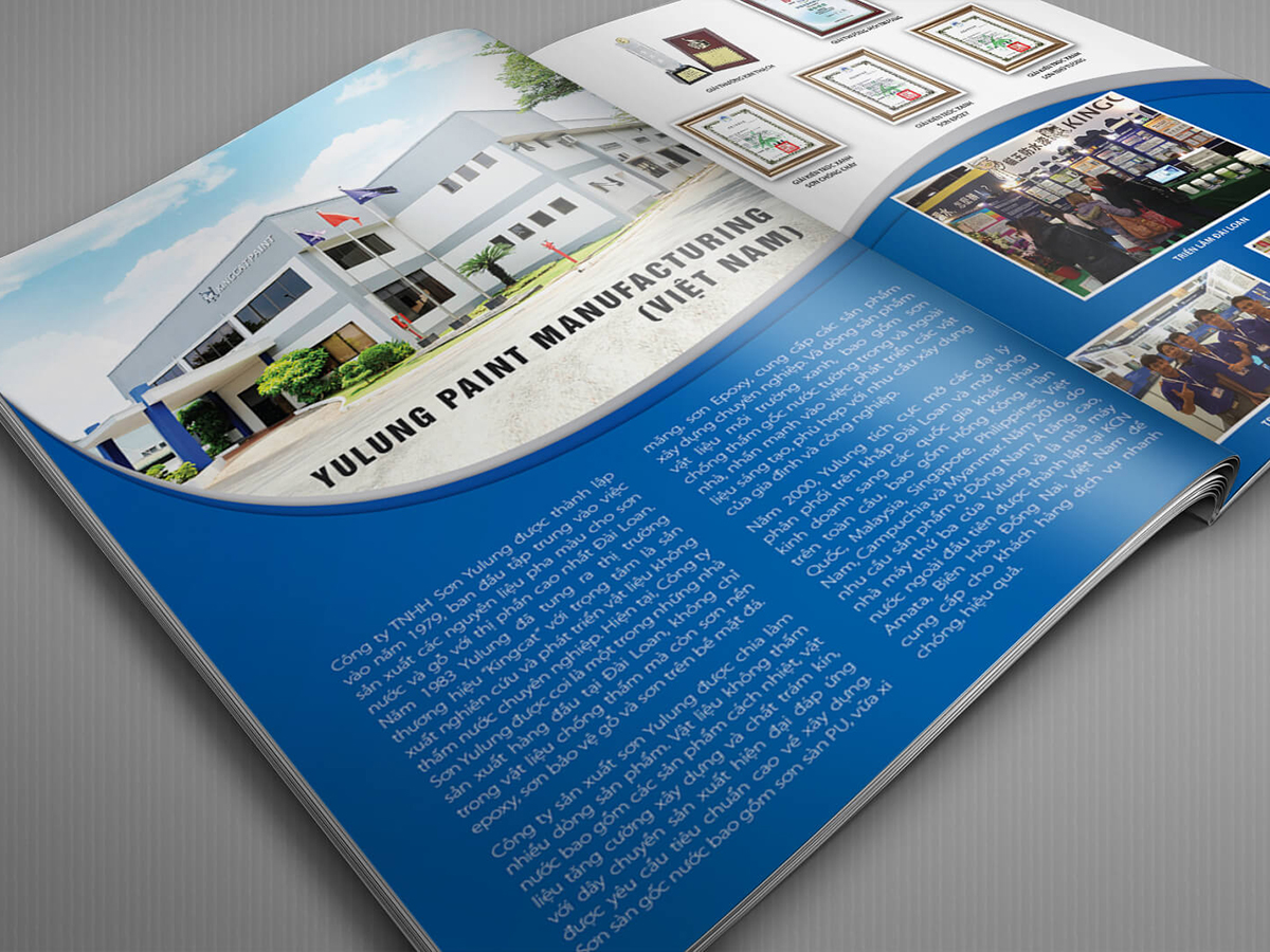 YULUNG PAINT - Thiết kế catalogue
