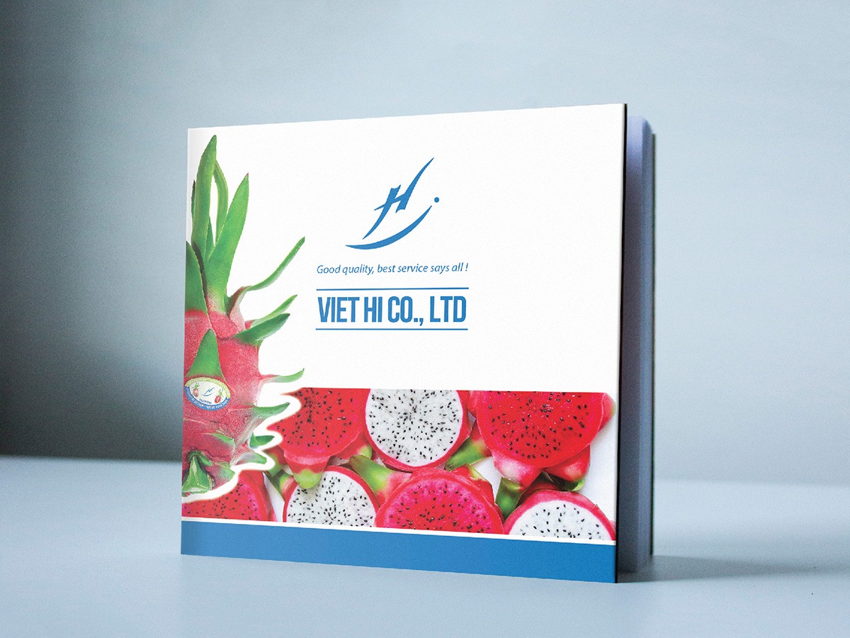 VIỆT HỈ - Thiết kế Catalogue giới thiệu sản phẩm nông sản trái thanh long