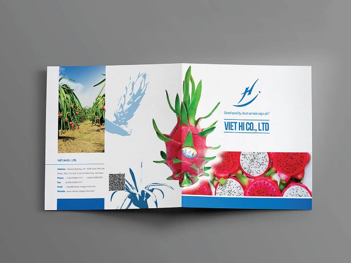 Thiết kế Catalogue giới thiệu sản phẩm nông sản trái thanh long tại TP HCM