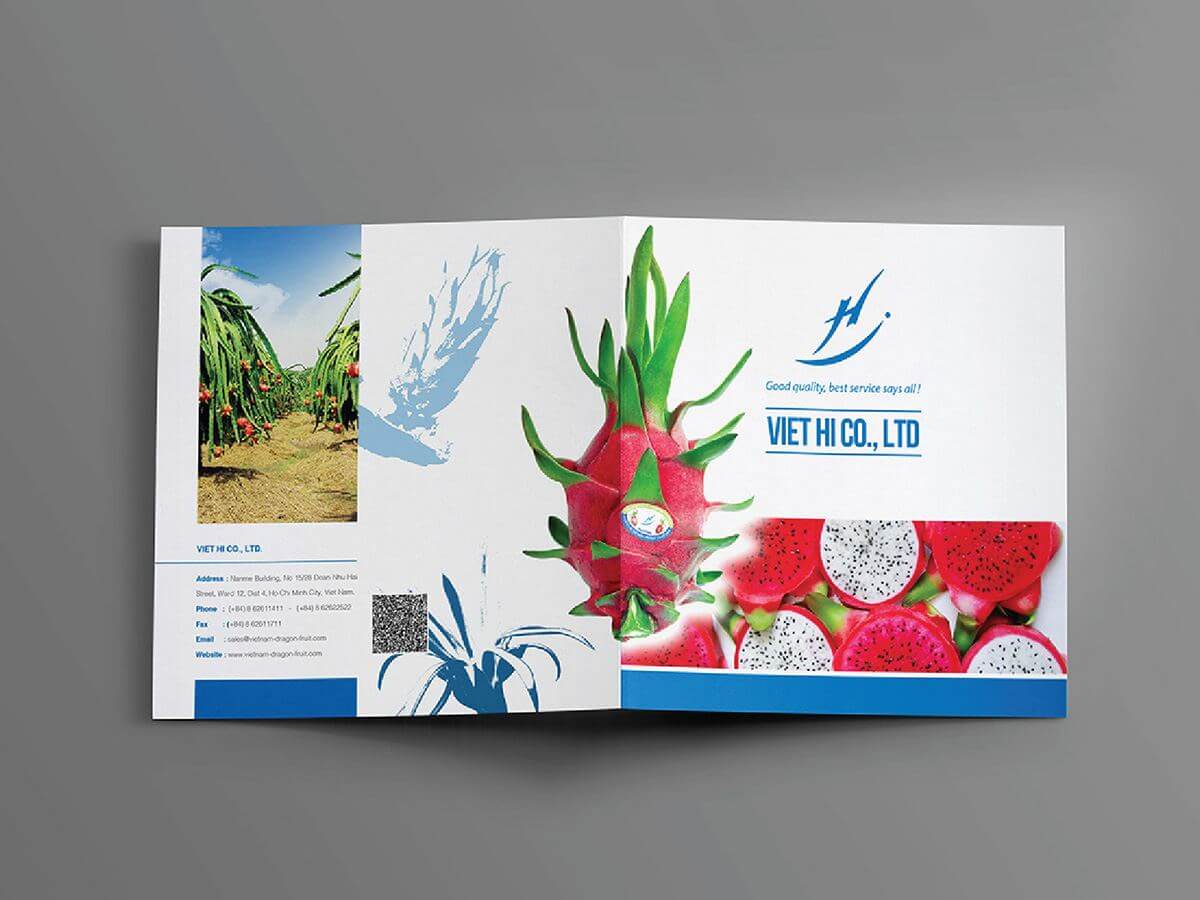 VIỆT HỈ - Thiết kế Catalogue giới thiệu sản phẩm nông sản trái thanh long