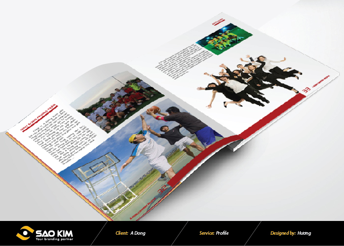 Á Đông - Thiết kế profile Á Đông