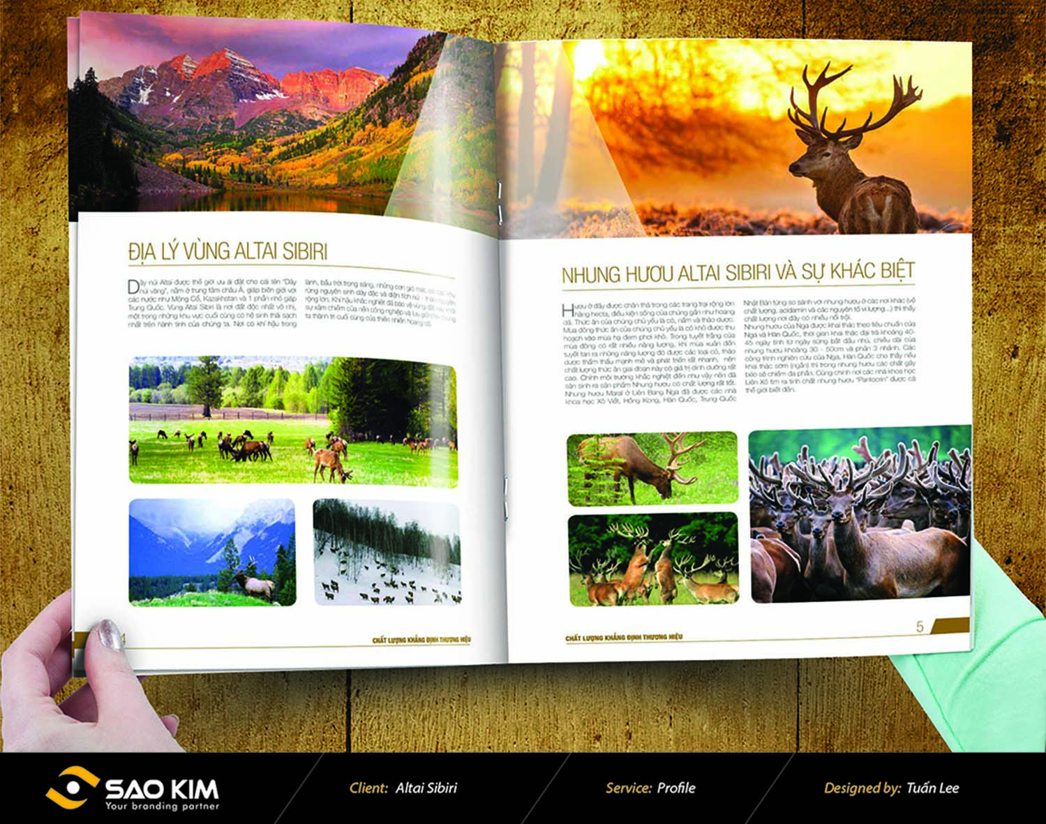 Altai Sibiri - Thiết kế brochure Altai Sibiri