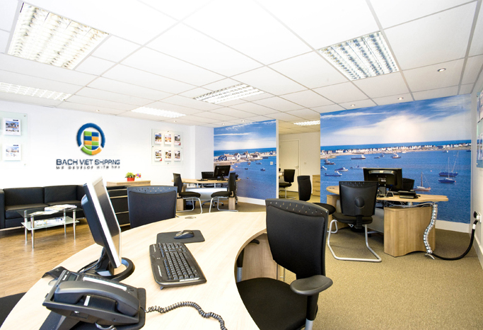 BACH VIET SHIPPING - Thiết kế logo và nhận diện thương hiệu Bach Viet Shipping