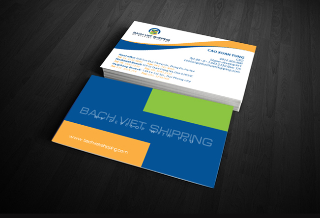 BACH VIET SHIPPING - Thiết kế logo và nhận diện thương hiệu Bach Viet Shipping