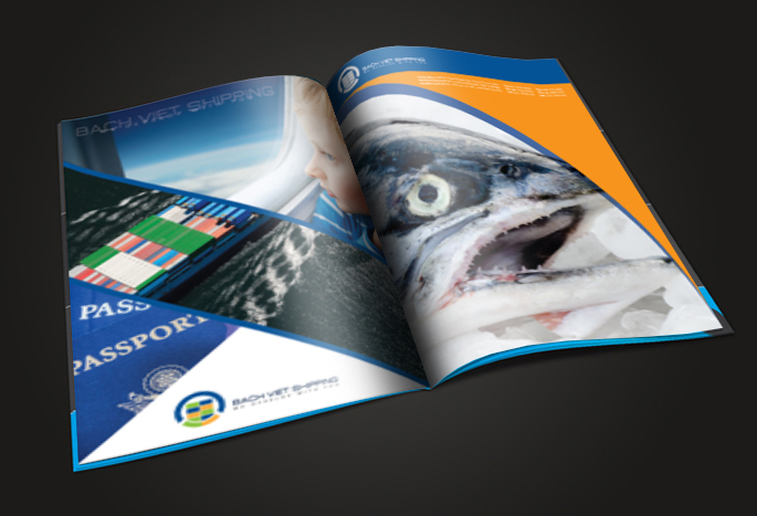 BACH VIET SHIPPING - Thiết kế logo và nhận diện thương hiệu Bach Viet Shipping