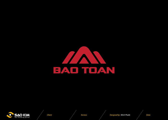 Bảo Toàn - Thiết kế logo thiết bị giám sát Bảo Toàn