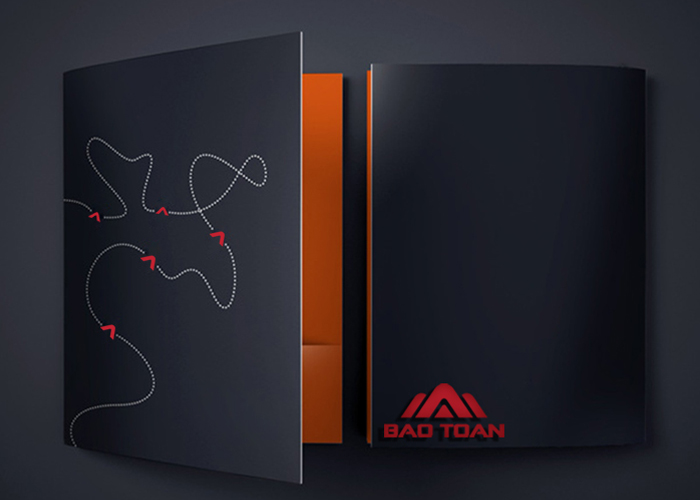 Bảo Toàn - Thiết kế logo thiết bị giám sát Bảo Toàn