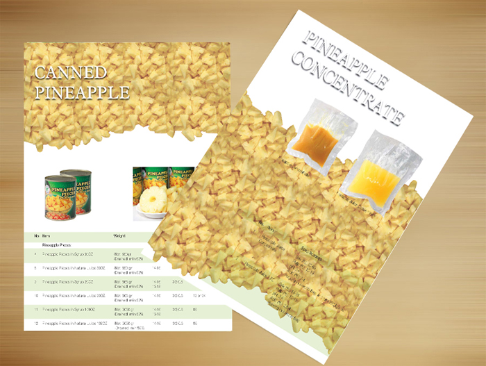 VEGETEXCO - Thiết kế catalog giới thiệu sản phẩm công ty VEGTEXCO