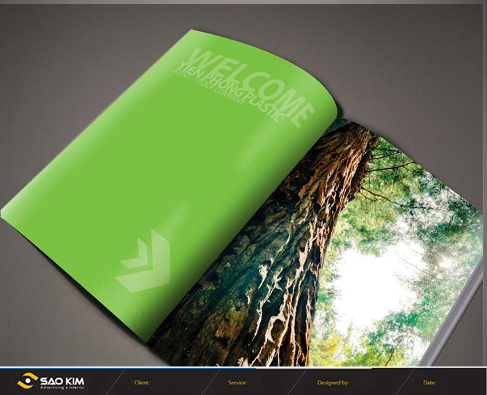 NHỰA THIẾU NIÊN TIỀN PHONG - Thiết kế báo cáo thường niên Công ty cổ phần Nhựa Thiếu Niên Tiền Phong