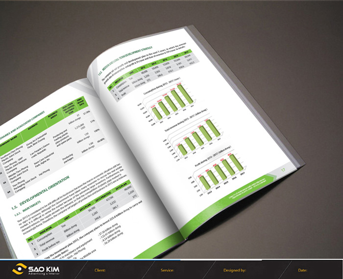 NHỰA THIẾU NIÊN TIỀN PHONG - Thiết kế báo cáo thường niên Công ty cổ phần Nhựa Thiếu Niên Tiền Phong