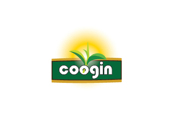 COOGIN - Thiết kế thương hiệu cho trà xanh đóng chai