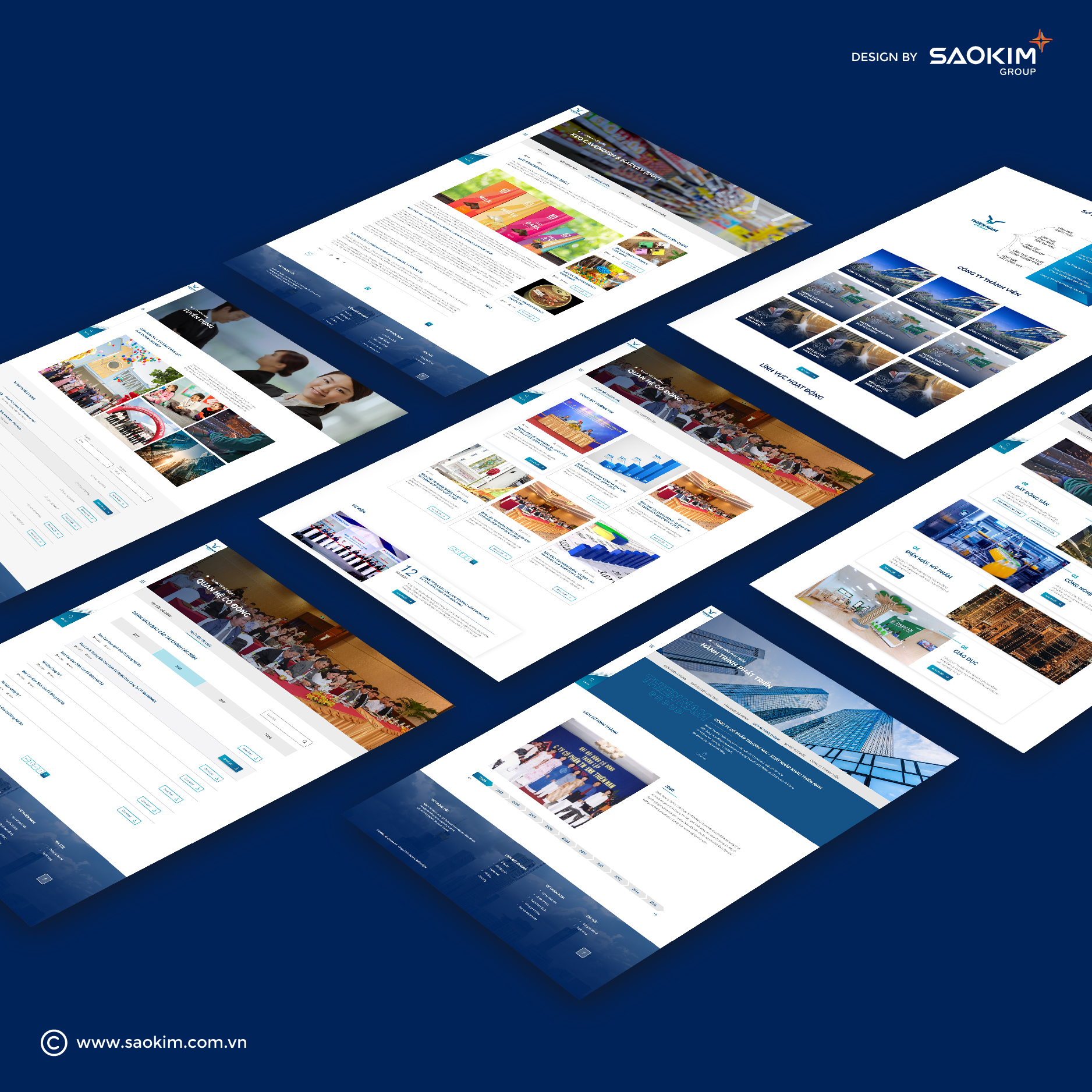 THIÊN NAM GROUP - Design Website and Brand Identity Thien Nam