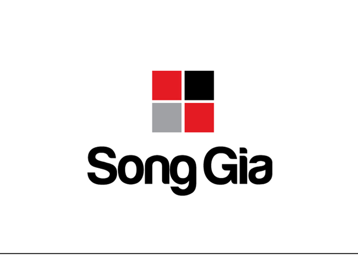 HÀ THÀNH SONG GIA - Thiết kế logo và hệ thống nhận diện cho công ty Hà Thành Song Gia