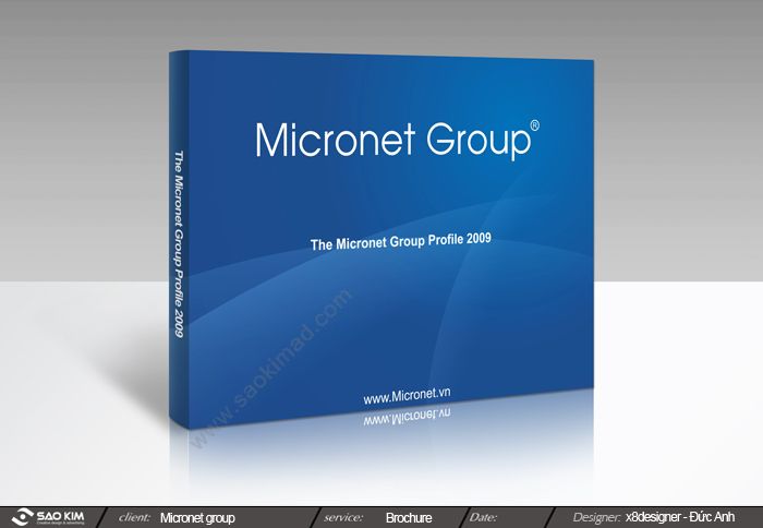 CÔNG TY CP TẬP ĐOÀN MICRONET -